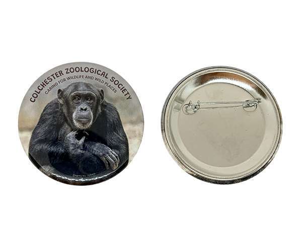 Two 58mm Button Badges: the front features a chimpanzee with "Colchester Zoological Society" text, whilst the back has a metal pin fastening.