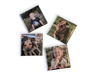Four square photo magnets featuring a child and two dogs in different outdoor settings, arranged on a white background.